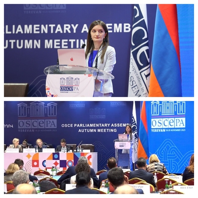 «ԵԱՀԿ-ն ճգնաժամի ժամանակ. վեհաժողովի դերը ներքին եւ արտաքին մարտահրավերներին արձագանքելու հարցում». ԵԱՀԿ ԽՎ  աշնանային նստաշրջան