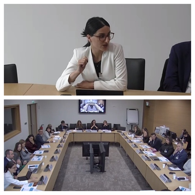 ԿԿՀ անդամ Լիլիթ Ալեքսանյանը ելույթով հանդես է եկել ՏՀԶԿ Արևելյան Եվրոպայի ու Կենտրոնական Ասիայի հակակոռուպցիոն ցանցի գործարար բարեվարքության խմբի երրորդ հանդիպմանը