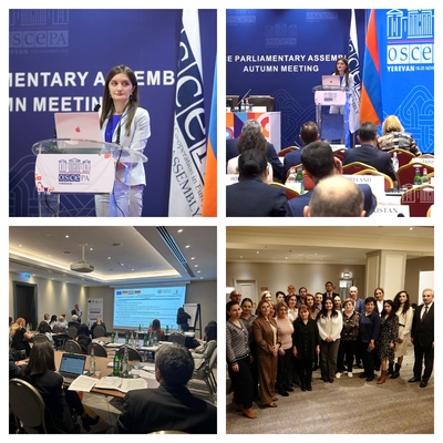 Կոռուպցիայի կանխարգելման հանձնաժողովի կողմից 20.11-24.11-ն ընկած ժամանակահատվածում իրականացված միջոցառումների ԱՄՓՈՓԱԳԻՐ